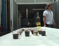 Lab Inauguration July 2019 picture no. 6