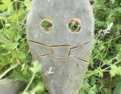 Weizmann Wildlife picture no. 15