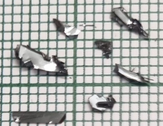 Retreat May 2025 picture no. 1