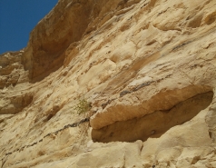 Group Day 2017 picture no. 6