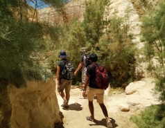 Group Day 2017 picture no. 7