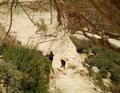 Group Day 2017 picture no. 9