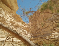 Group Day 2017 picture no. 10