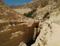 Group Day 2017 picture no. 11