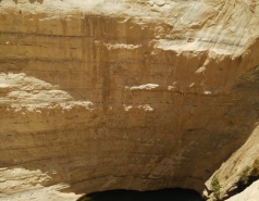 Group Day 2017 picture no. 12