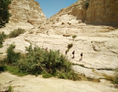 Group Day 2017 picture no. 13