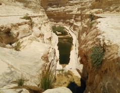 Group Day 2017 picture no. 14