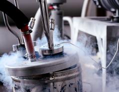 January 2011 picture no. 2