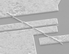 March 2010 picture no. 1