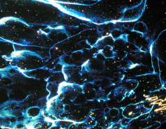 March 2010 picture no. 3