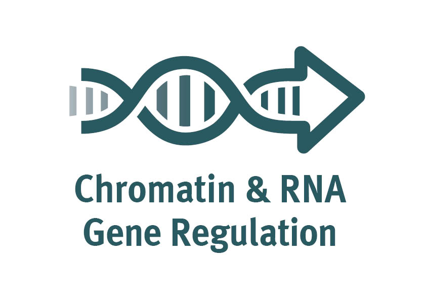 I-CORE Chromatin & RNA Gene Regulation