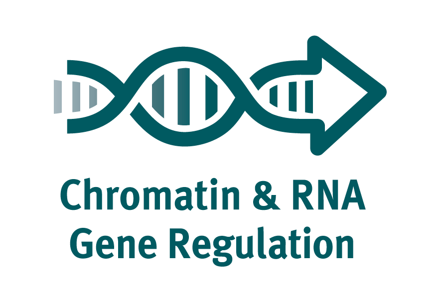 Chromatin & RNA Gene Regulation