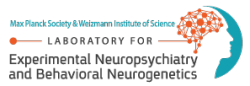Laboratory for Experimental Neuropsychiatry and Behavioral Neurogenetics