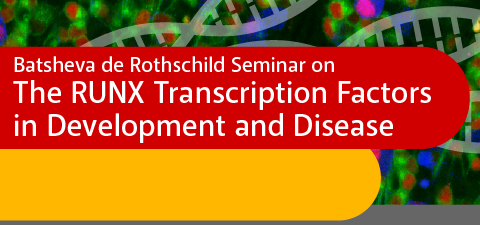 The RUNX Transcription Factors in Development  and Disease
