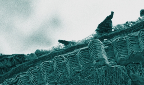 Crystalline Materials<br><span>in Nature</span>