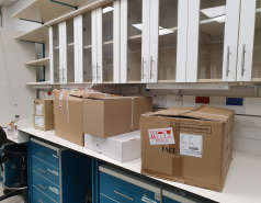 Launching picture no. 1