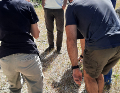 Lab Retreat - April 2023: Ways to pass a stick  picture no. 2