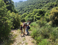 Lab Retreat - April 2023: Hike in Wadi Kfira picture no. 7