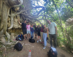 Lab Retreat - April 2023: Hike in Wadi Kfira picture no. 12