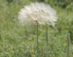 Lab Retreat - April 2023: Hike in Wadi Kfira