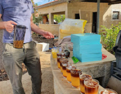 Hanukkah 2023  picture no. 11