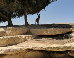 Departmental Retreat 2022 - Kedma Sde Boker picture no. 2