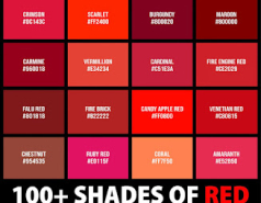 The T-Shirt of the day