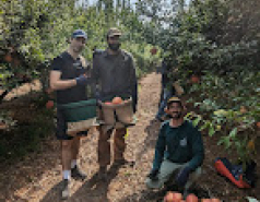 Volunteering picture no. 1