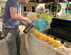 Hanukkah 2023  picture no. 9