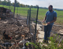 Hanukkah 2023  picture no. 6