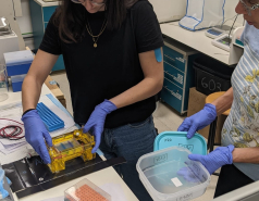 "PBMing" picture no. 6