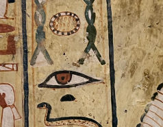 DNA is everywhere picture no. 8