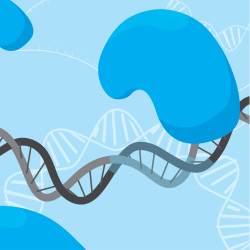 The impact of structure on DNA biochemistry
