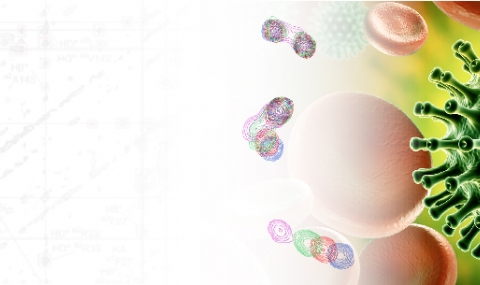 Jacob Anglister's Lab