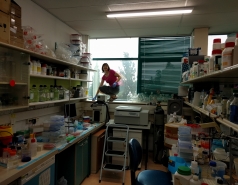 The Fass lab 2013-2016 picture no. 1