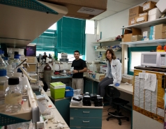 The Fass lab 2013-2016 picture no. 2