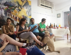 The Fass lab 2013-2016 picture no. 4