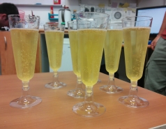 The Fass lab 2013-2016 picture no. 9