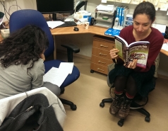 2017-2019 picture no. 1