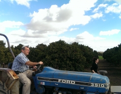 2017-2019 picture no. 2