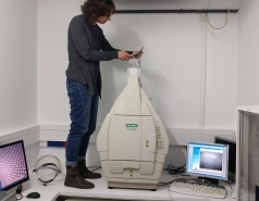 2017-2019 picture no. 5