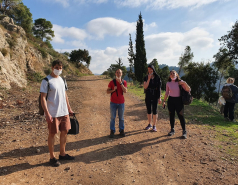 2020 onwards picture no. 2