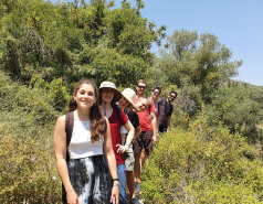 2020 onwards picture no. 12