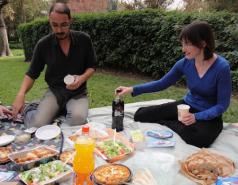 The Fass Lab 2009-2012 picture no. 10