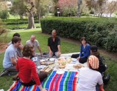 The Fass Lab 2009-2012 picture no. 11