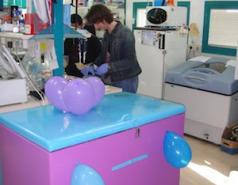 The Fass Lab 2009-2012 picture no. 13