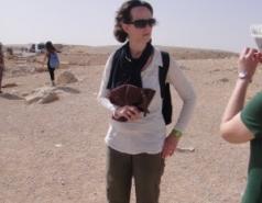 The Fass Lab 2009-2012 picture no. 16