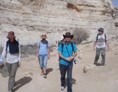 The Fass Lab 2009-2012 picture no. 21