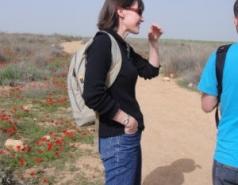 The Fass Lab 2009-2012 picture no. 27