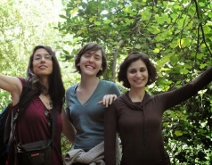 The Fass lab 2013-2016 picture no. 23